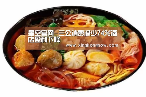 星空官网-三公消费减少74%酒店盈利下降(图2) 星空比分