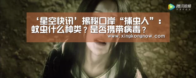 ‘星空快讯’揭秘口岸“捕虫人”:蚊虫什么种类?是否携带病毒?(图2) 星空官网