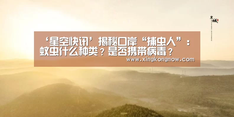 ‘星空快讯’揭秘口岸“捕虫人”:蚊虫什么种类?是否携带病毒?(图3) 星空快讯