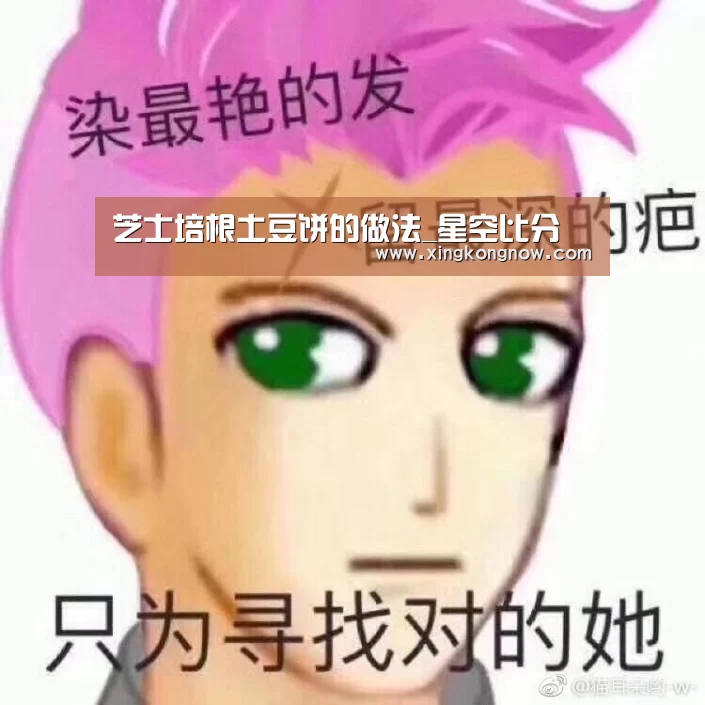 芝士培根土豆饼的做法_星空比分(图1) 星空聚合