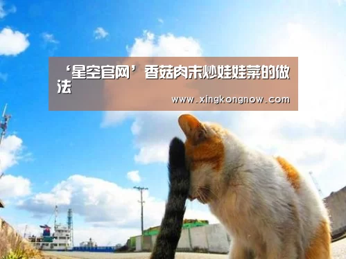 ‘星空官网’香菇肉末炒娃娃菜的做法(图1) 星空聚合