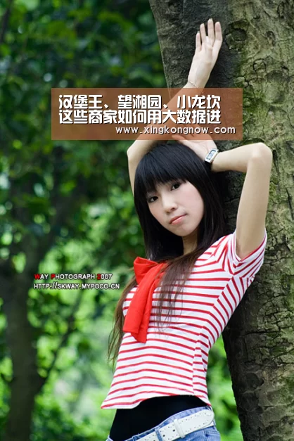 汉堡王、望湘园、小龙坎这些商家如何用大数据进化?“星空比分”(图1) 星空官网